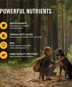 American Journey Chicken & Sweet Potato Recipe Grain-Free Dry Dog Food 5 American Journey Chicken & Sweet Potato Recipe Grain-Free Dry Dog Food -American Journey Sales 2024 108409 PT4. SY630 V1606261037