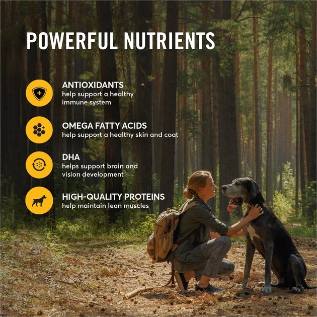 American Journey Chicken & Sweet Potato Recipe Grain-Free Dry Dog Food, 4-lb bag American Journey Chicken & Sweet Potato Recipe Grain-Free Dry Dog Food -American Journey Sales 2024 108409 PT4. SY630 V1606261037