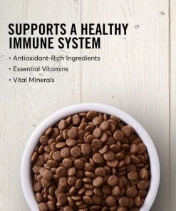 American Journey Large Breed Adult Chicken & Sweet Potato Recipe Grain-Free Dry Dog Food -American Journey Sales 2024 108413 PT3. SY630 V1607145725