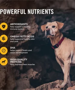 American Journey Large Breed Adult Chicken & Sweet Potato Recipe Grain-Free Dry Dog Food -American Journey Sales 2024 108413 PT4. SY630 V1607134931