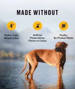 American Journey Large Breed Adult Chicken & Sweet Potato Recipe Grain-Free Dry Dog Food -American Journey Sales 2024 108413 PT6. SY630 V1607157147