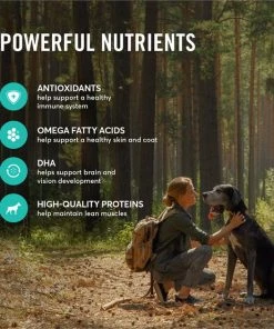 American Journey Lamb & Sweet Potato Recipe Grain-Free Dry Dog Food 6 American Journey Lamb & Sweet Potato Recipe Grain-Free Dry Dog Food -American Journey Sales 2024 108417 PT4. SY630 V1606258024