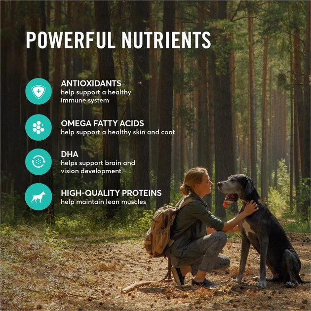 American Journey Lamb & Sweet Potato Recipe Grain-Free Dry Dog Food, 4-lb bag American Journey Lamb & Sweet Potato Recipe Grain-Free Dry Dog Food -American Journey Sales 2024 108417 PT4. SY630 V1606258024