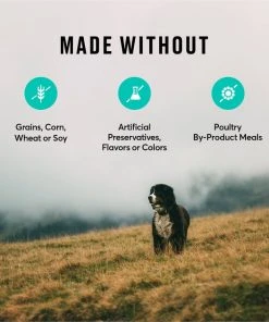 American Journey Lamb & Sweet Potato Recipe Grain-Free Dry Dog Food 8 American Journey Lamb & Sweet Potato Recipe Grain-Free Dry Dog Food -American Journey Sales 2024 108417 PT6. SY630 V1606262209