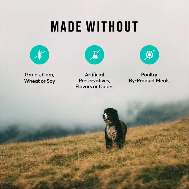 American Journey Lamb & Sweet Potato Recipe Grain-Free Dry Dog Food, 4-lb bag American Journey Lamb & Sweet Potato Recipe Grain-Free Dry Dog Food -American Journey Sales 2024 108417 PT6. SY630 V1606262209