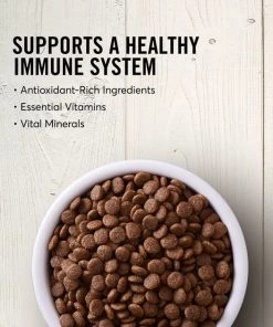 American Journey Salmon & Sweet Potato Recipe Grain-Free Dry Dog Food 5 American Journey Salmon & Sweet Potato Recipe Grain-Free Dry Dog Food -American Journey Sales 2024 108421 PT3. SY630 V1606265213