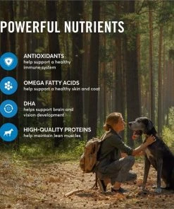 American Journey Salmon & Sweet Potato Recipe Grain-Free Dry Dog Food 6 American Journey Salmon & Sweet Potato Recipe Grain-Free Dry Dog Food -American Journey Sales 2024 108421 PT4. SY630 V1606257414