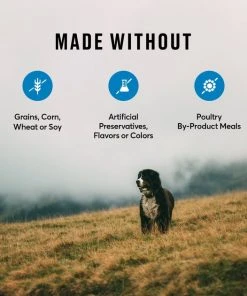 American Journey Salmon & Sweet Potato Recipe Grain-Free Dry Dog Food 8 American Journey Salmon & Sweet Potato Recipe Grain-Free Dry Dog Food -American Journey Sales 2024 108421 PT6. SY630 V1606258912