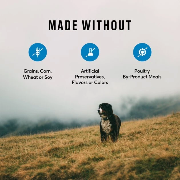 American Journey Salmon & Sweet Potato Recipe Grain-Free Dry Dog Food, 4-lb bag American Journey Salmon & Sweet Potato Recipe Grain-Free Dry Dog Food -American Journey Sales 2024 108421 PT6. SY630 V1606258912