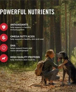 American Journey Beef & Sweet Potato Recipe Grain-Free Dry Dog Food 6 American Journey Beef & Sweet Potato Recipe Grain-Free Dry Dog Food -American Journey Sales 2024 108426 PT4. SY630 V1606265538