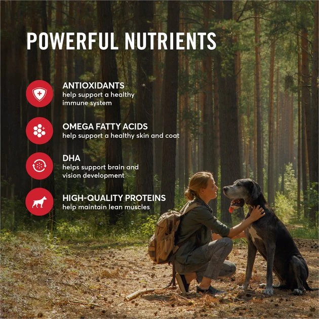 American Journey Beef & Sweet Potato Recipe Grain-Free Dry Dog Food, 12-lb bag American Journey Beef & Sweet Potato Recipe Grain-Free Dry Dog Food -American Journey Sales 2024 108426 PT4. SY630 V1606265538