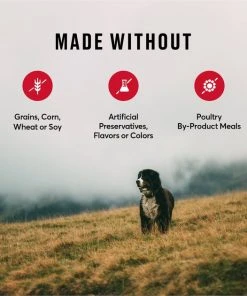 American Journey Beef & Sweet Potato Recipe Grain-Free Dry Dog Food 8 American Journey Beef & Sweet Potato Recipe Grain-Free Dry Dog Food -American Journey Sales 2024 108426 PT6. SY630 V1606267621