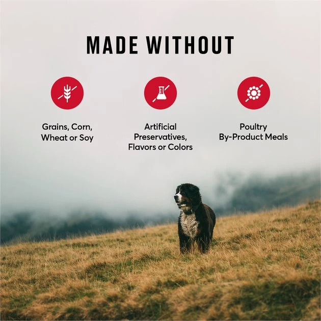 American Journey Beef & Sweet Potato Recipe Grain-Free Dry Dog Food, 12-lb bag American Journey Beef & Sweet Potato Recipe Grain-Free Dry Dog Food -American Journey Sales 2024 108426 PT6. SY630 V1606267621