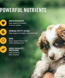 American Journey Puppy Chicken & Sweet Potato Recipe Grain-Free Dry Dog Food 6 American Journey Puppy Chicken & Sweet Potato Recipe Grain-Free Dry Dog Food -American Journey Sales 2024 108430 PT4. SY630 V1607130134