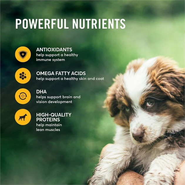 American Journey Puppy Chicken & Sweet Potato Recipe Grain-Free Dry Dog Food, 4-lb bag American Journey Puppy Chicken & Sweet Potato Recipe Grain-Free Dry Dog Food -American Journey Sales 2024 108430 PT4. SY630 V1607130134