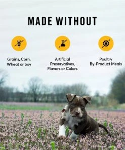American Journey Puppy Chicken & Sweet Potato Recipe Grain-Free Dry Dog Food 8 American Journey Puppy Chicken & Sweet Potato Recipe Grain-Free Dry Dog Food -American Journey Sales 2024 108430 PT6. SY630 V1607158638