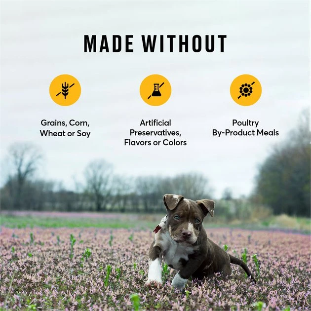 American Journey Puppy Chicken & Sweet Potato Recipe Grain-Free Dry Dog Food, 4-lb bag American Journey Puppy Chicken & Sweet Potato Recipe Grain-Free Dry Dog Food -American Journey Sales 2024 108430 PT6. SY630 V1607158638