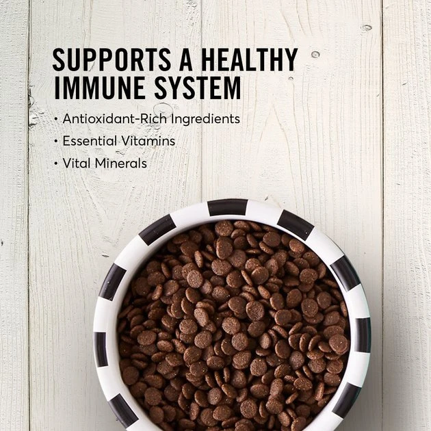 American Journey Puppy Lamb & Sweet Potato Recipe Grain-Free Dry Dog Food, 4-lb bag American Journey Puppy Lamb & Sweet Potato Recipe Grain-Free Dry Dog Food -American Journey Sales 2024 108434 PT3. SY630 V1607136124