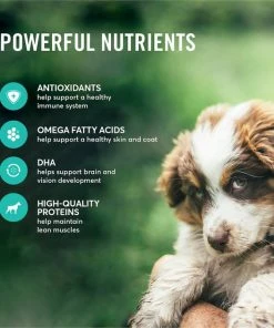 American Journey Puppy Lamb & Sweet Potato Recipe Grain-Free Dry Dog Food 6 American Journey Puppy Lamb & Sweet Potato Recipe Grain-Free Dry Dog Food -American Journey Sales 2024 108434 PT4. SY630 V1607156548