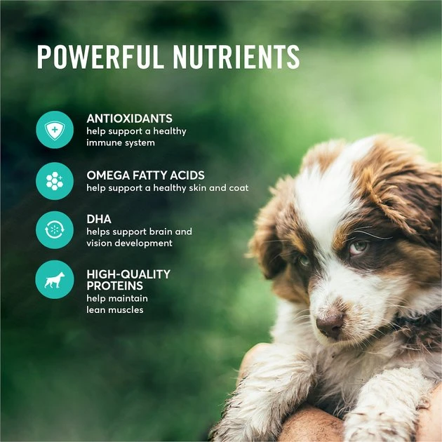 American Journey Puppy Lamb & Sweet Potato Recipe Grain-Free Dry Dog Food, 4-lb bag American Journey Puppy Lamb & Sweet Potato Recipe Grain-Free Dry Dog Food -American Journey Sales 2024 108434 PT4. SY630 V1607156548