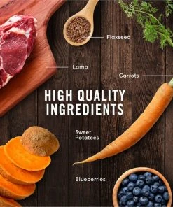 American Journey Puppy Lamb & Sweet Potato Recipe Grain-Free Dry Dog Food 7 American Journey Puppy Lamb & Sweet Potato Recipe Grain-Free Dry Dog Food -American Journey Sales 2024 108434 PT5. SY630 V1607158931