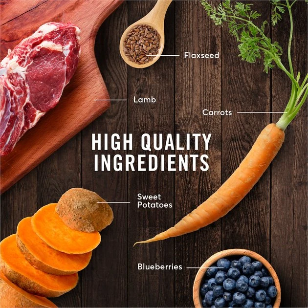 American Journey Puppy Lamb & Sweet Potato Recipe Grain-Free Dry Dog Food, 4-lb bag American Journey Puppy Lamb & Sweet Potato Recipe Grain-Free Dry Dog Food -American Journey Sales 2024 108434 PT5. SY630 V1607158931