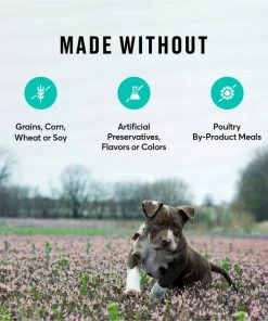 American Journey Puppy Lamb & Sweet Potato Recipe Grain-Free Dry Dog Food 8 American Journey Puppy Lamb & Sweet Potato Recipe Grain-Free Dry Dog Food -American Journey Sales 2024 108434 PT6. SY630 V1607143325