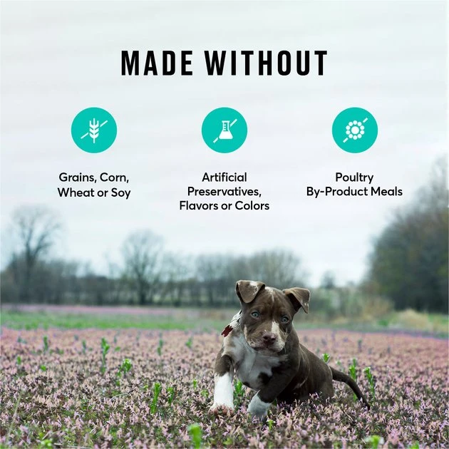 American Journey Puppy Lamb & Sweet Potato Recipe Grain-Free Dry Dog Food, 4-lb bag American Journey Puppy Lamb & Sweet Potato Recipe Grain-Free Dry Dog Food -American Journey Sales 2024 108434 PT6. SY630 V1607143325