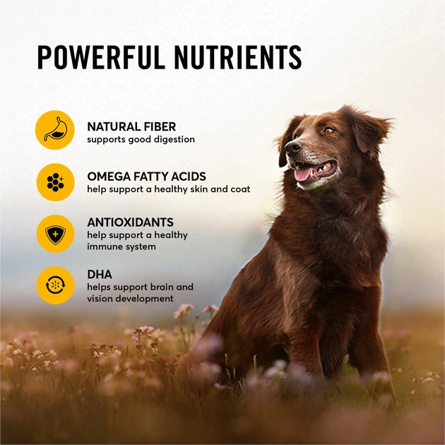 American Journey Active Life Formula Chicken, Brown Rice & Vegetables Recipe Dry Dog Food, 4-lb bag American Journey Active Life Formula Chicken, Brown Rice & Vegetables Recipe Dry Dog Food -American Journey Sales 2024 109337 PT5. SY630 V1591794381