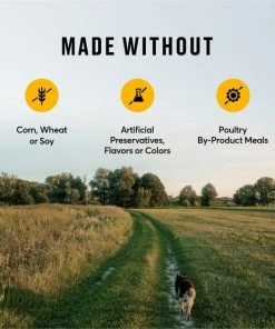 American Journey Active Life Formula Chicken, Brown Rice & Vegetables Recipe Dry Dog Food 8 American Journey Active Life Formula Chicken, Brown Rice & Vegetables Recipe Dry Dog Food -American Journey Sales 2024 109337 PT7. SY630 V1591794391