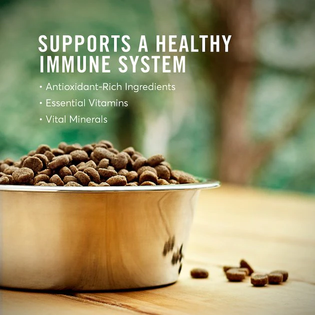 American Journey Active Life Formula Lamb, Brown Rice & Vegetables Recipe Dry Dog Food, 14-lb bag American Journey Active Life Formula Lamb, Brown Rice & Vegetables Recipe Dry Dog Food -American Journey Sales 2024 109342 PT4. SY630 V1591794661