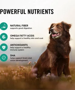 American Journey Active Life Formula Lamb, Brown Rice & Vegetables Recipe Dry Dog Food 6 American Journey Active Life Formula Lamb, Brown Rice & Vegetables Recipe Dry Dog Food -American Journey Sales 2024 109342 PT5. SY630 V1591794664