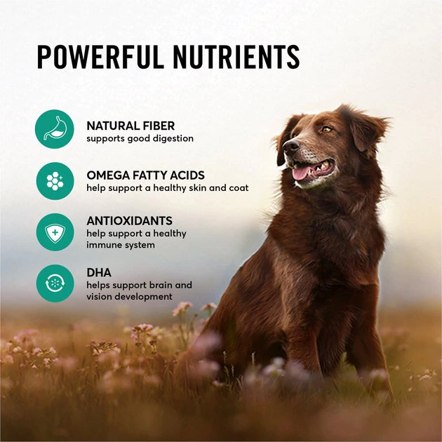 American Journey Active Life Formula Lamb, Brown Rice & Vegetables Recipe Dry Dog Food, 14-lb bag American Journey Active Life Formula Lamb, Brown Rice & Vegetables Recipe Dry Dog Food -American Journey Sales 2024 109342 PT5. SY630 V1591794664