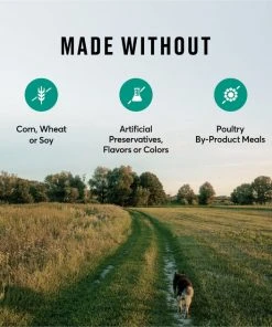 American Journey Active Life Formula Lamb, Brown Rice & Vegetables Recipe Dry Dog Food 8 American Journey Active Life Formula Lamb, Brown Rice & Vegetables Recipe Dry Dog Food -American Journey Sales 2024 109342 PT7. SY630 V1591794684