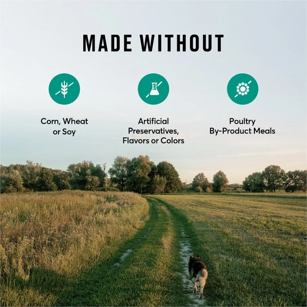 American Journey Active Life Formula Lamb, Brown Rice & Vegetables Recipe Dry Dog Food, 14-lb bag American Journey Active Life Formula Lamb, Brown Rice & Vegetables Recipe Dry Dog Food -American Journey Sales 2024 109342 PT7. SY630 V1591794684