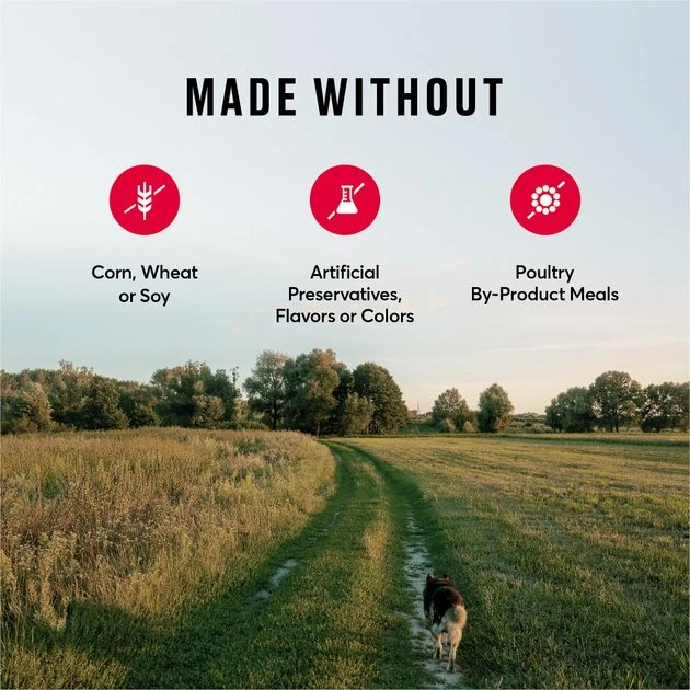 American Journey Active Life Formula Beef, Brown Rice & Vegetables Recipe Dry Dog Food, 4-lb bag American Journey Active Life Formula Beef, Brown Rice & Vegetables Recipe Dry Dog Food -American Journey Sales 2024 109349 PT7. SY630 V1593626787