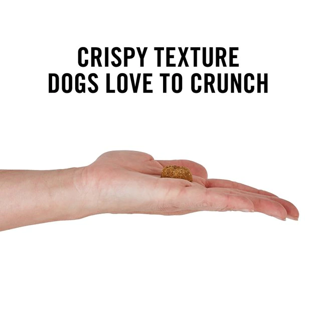 American Journey Turkey Recipe Grain-Free Oven Baked Crunchy Biscuit Dog Treats 6 American Journey Turkey Recipe Grain-Free Oven Baked Crunchy Biscuit Dog Treats - Image 4