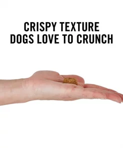 American Journey Chicken Recipe Grain-Free Oven Baked Crunchy Biscuit Dog Treats 5 American Journey Chicken Recipe Grain-Free Oven Baked Crunchy Biscuit Dog Treats -American Journey Sales 2024 114127 PT3. SY630 V1632188602