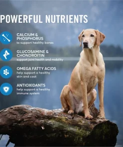 American Journey Active Life Formula Large Breed Salmon, Brown Rice & Vegetables Recipe Dry Dog Food 6 American Journey Active Life Formula Large Breed Salmon, Brown Rice & Vegetables Recipe Dry Dog Food -American Journey Sales 2024 121223 PT5. SY630 V1593626760