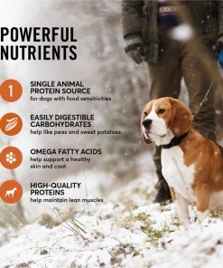 American Journey Limited Ingredient Turkey & Sweet Potato Recipe Grain-Free Dry Dog Food -American Journey Sales 2024 121241 PT4. SY630 V1607398066