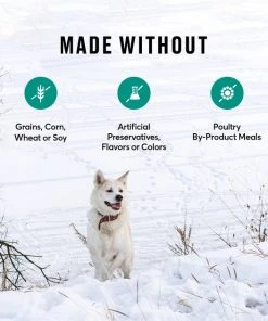 American Journey Limited Ingredient Lamb & Sweet Potato Recipe Grain-Free Dry Dog Food 8 American Journey Limited Ingredient Lamb & Sweet Potato Recipe Grain-Free Dry Dog Food -American Journey Sales 2024 121255 PT6. SY630 V1607401663