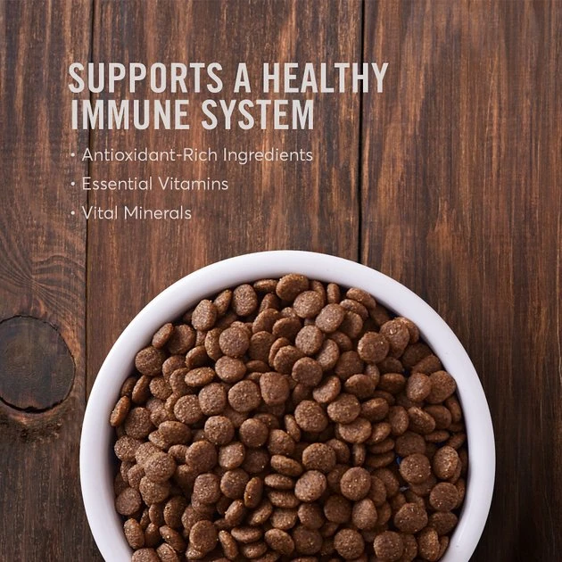 American Journey Limited Ingredient Salmon & Sweet Potato Recipe Grain-Free Dry Dog Food, 12-lb bag American Journey Limited Ingredient Salmon & Sweet Potato Recipe Grain-Free Dry Dog Food -American Journey Sales 2024 121275 PT3. SY630 V1607396533