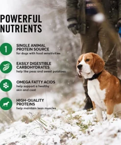 American Journey Limited Ingredient Duck & Sweet Potato Recipe Grain-Free Dry Dog Food 6 American Journey Limited Ingredient Duck & Sweet Potato Recipe Grain-Free Dry Dog Food -American Journey Sales 2024 121305 PT4. SY630 V1607389382