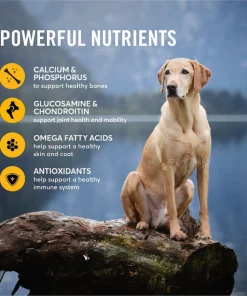 American Journey Active Life Formula Large Breed Chicken, Brown Rice & Vegetables Recipe Dry Dog Food 6 American Journey Active Life Formula Large Breed Chicken, Brown Rice & Vegetables Recipe Dry Dog Food -American Journey Sales 2024 125807 PT5. SY630 V1591795049