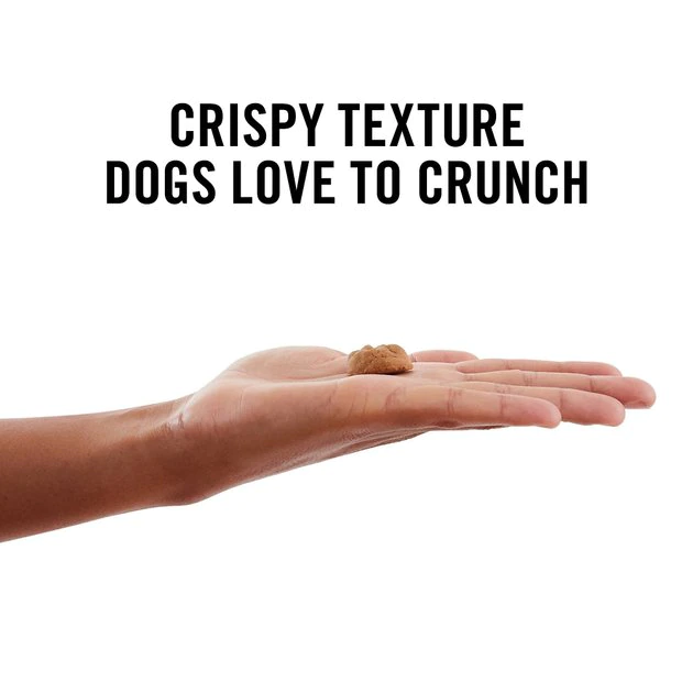 American Journey Peanut Butter Recipe Grain-Free Oven Baked Crunchy Biscuit Dog Treats, 8-oz bag American Journey Peanut Butter Recipe Grain-Free Oven Baked Crunchy Biscuit Dog Treats -American Journey Sales 2024 125861 PT3. SY630 V1632187417