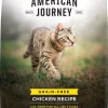 American Journey Chicken Recipe Grain-Free Dry Cat Food -American Journey Sales 2024 131577 MAIN. SY630 V1514493211