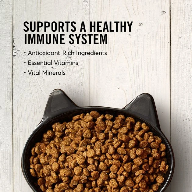 American Journey Chicken Recipe Grain-Free Dry Cat Food, 5-lb bag American Journey Chicken Recipe Grain-Free Dry Cat Food -American Journey Sales 2024 131577 PT3. SY630 V1607400437