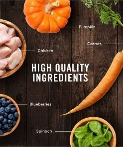 American Journey Chicken Recipe Grain-Free Dry Cat Food 6 American Journey Chicken Recipe Grain-Free Dry Cat Food -American Journey Sales 2024 131577 PT5. SY630 V1607383044