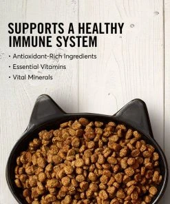 American Journey Turkey & Chicken Recipe Grain-Free Dry Cat Food -American Journey Sales 2024 131581 PT3. SY630 V1607383636