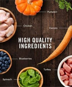 American Journey Turkey & Chicken Recipe Grain-Free Dry Cat Food -American Journey Sales 2024 131581 PT5. SY630 V1607382144